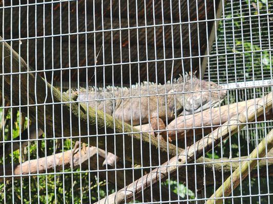 The Zoo in Forest Park & Education Center