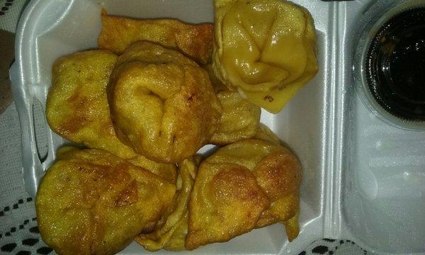Pan fried won tons