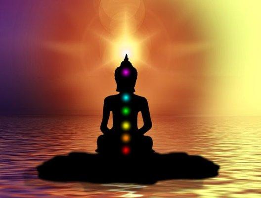 Nurture Wellness Now