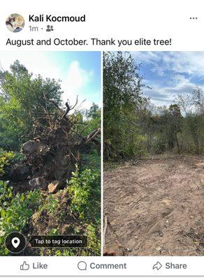 Elite Tree & Outdoor Services