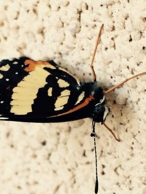 Copperstone Apartments