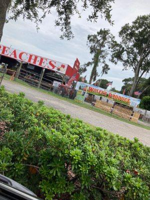 Wolfe's Produce