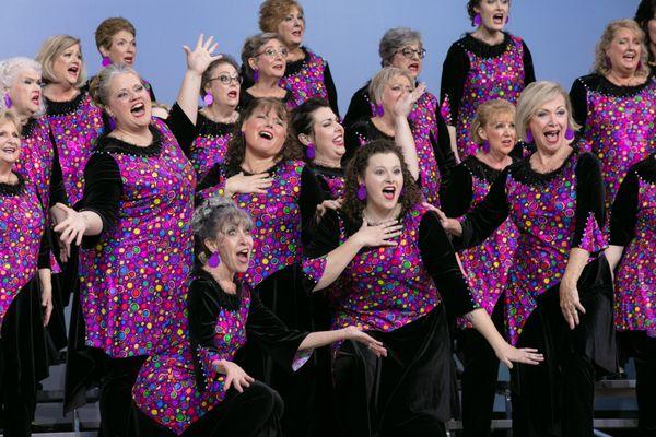 Welcome to the Melodeers Chorus, a premier women's a cappella ensemble based in Wheeling, Illinois.