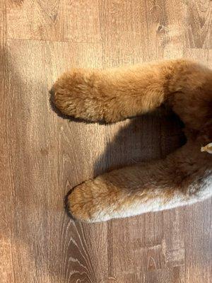 Erika’s Dog Grooming