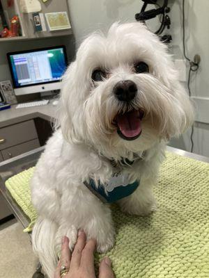 Nash waiting for his eye checkup at Dr. Nelms' office.