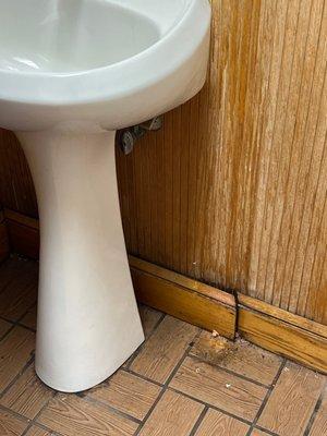 Disgusting bathroom.