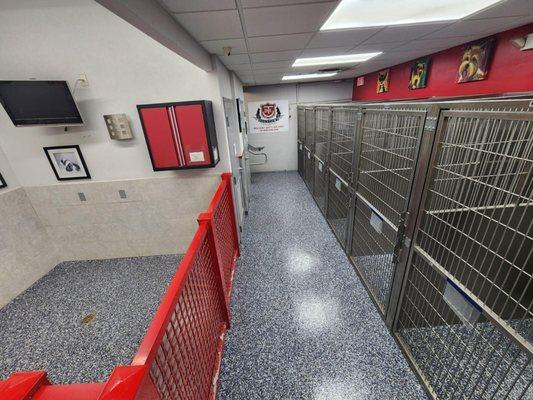 Lifetime Green Coatings