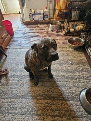 Niomi is our baby that he killed