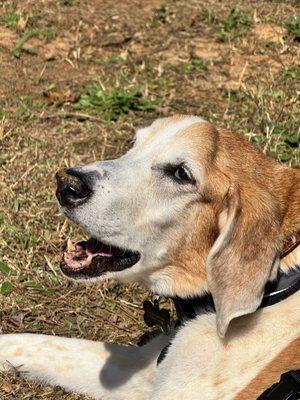 Cleveland School Animal Hospital