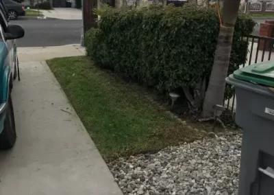 Veras Brothers Lawn Care Service