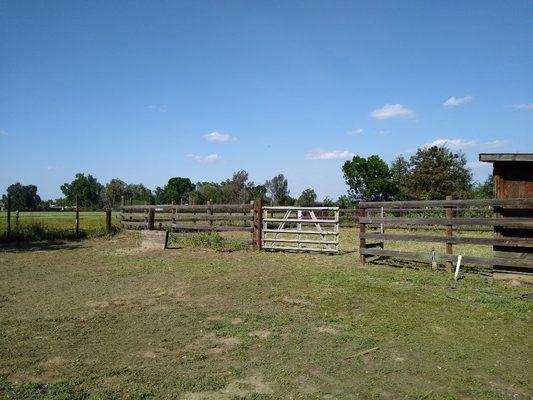 Lopezninjas clean outs