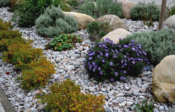 Arcestone Construction & Landscape
