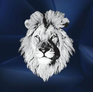 White Lion Moving & Storage - Aventura
