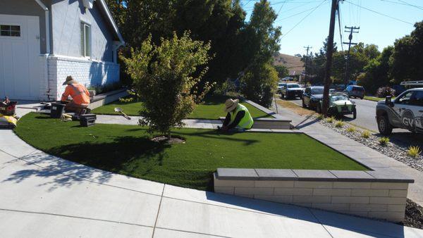Elegant Front Yard Design