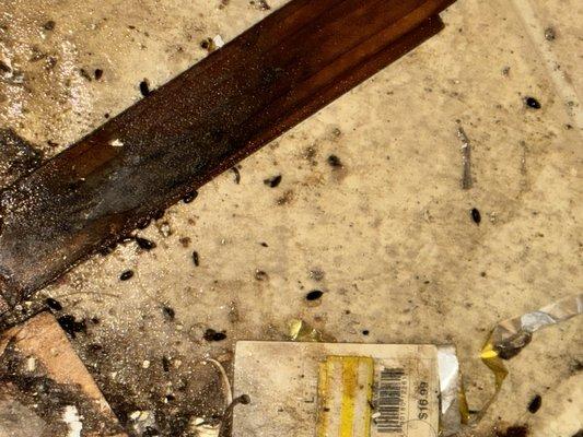 Papago Springs Apartments