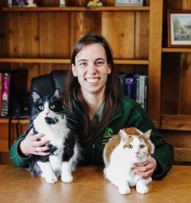 Animal Hospital of Orwell