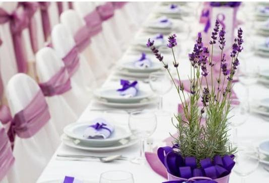 Floral Designs By AnnaMarie