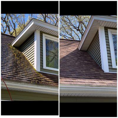 Purple Dragon Soft-Wash