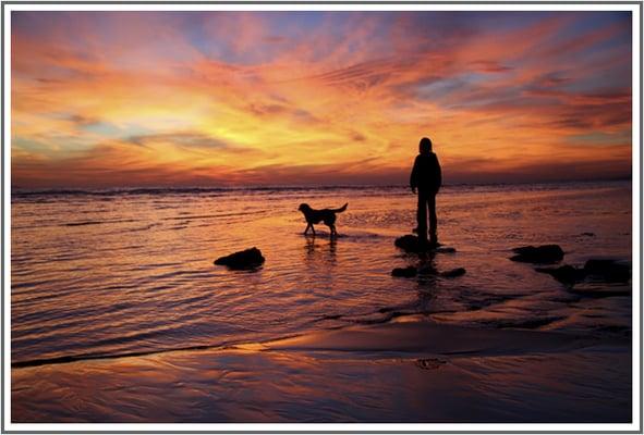 Delaware Pet Cremations