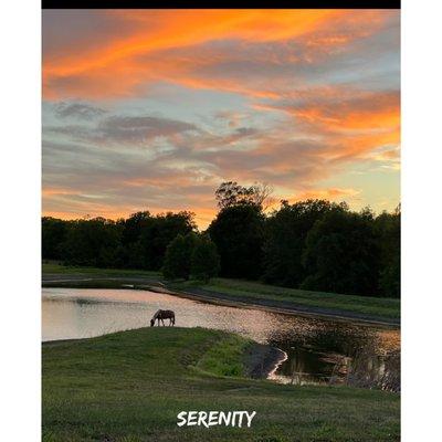 Serenity Retreat