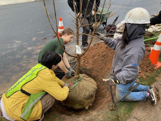 Urban Resources Initiative