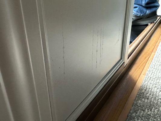 leaking sidelights