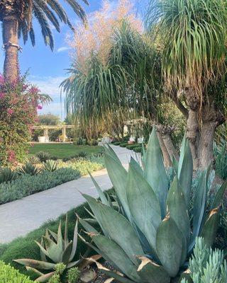 Luxarc Exterior Landscapes