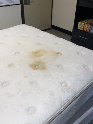 Mattress in furnished studio