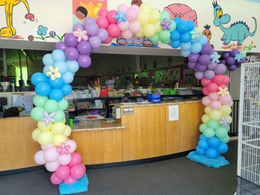 Genius Kids Morgan Hill