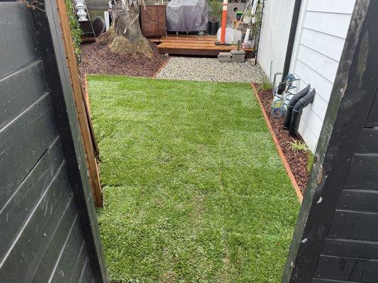 Ramirez droughtscape