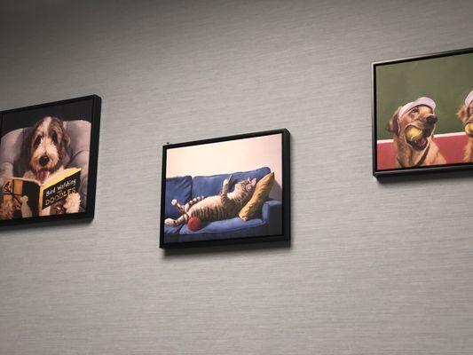 Northwood Veterinary Clinic