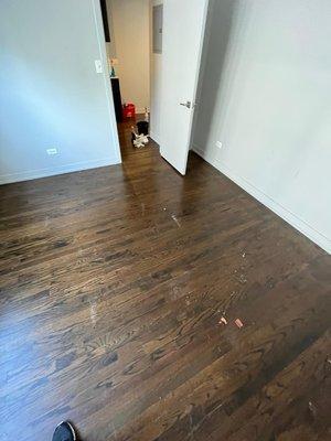 Este Cleaning Services