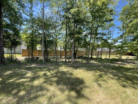 Grow N Mow Landscaping