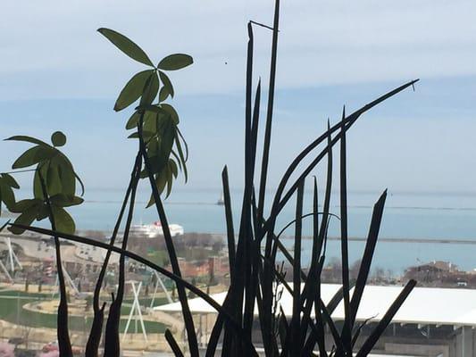 A view over Michigan Av