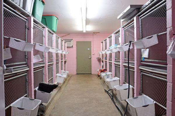 Pampered Pets of Donelson