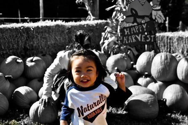 Rona Jobe Photography