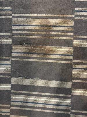 Really disgusting carpet. Looks like someone pooped here