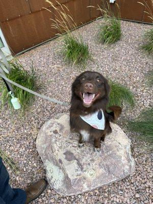 EarthWise Pet Sioux Falls