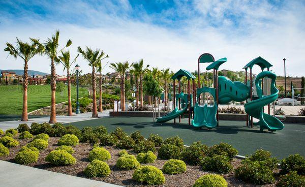 VDLA Landscape Architects