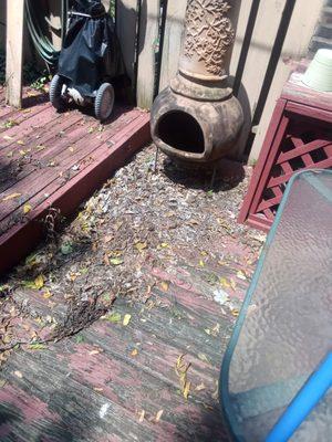 Generations with Wealth