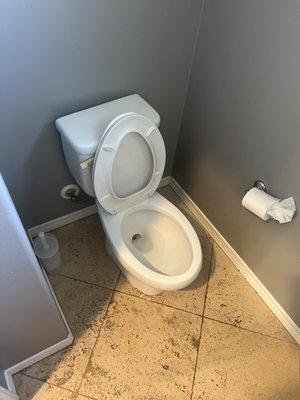 Maggee Cleaning & Organizing Services