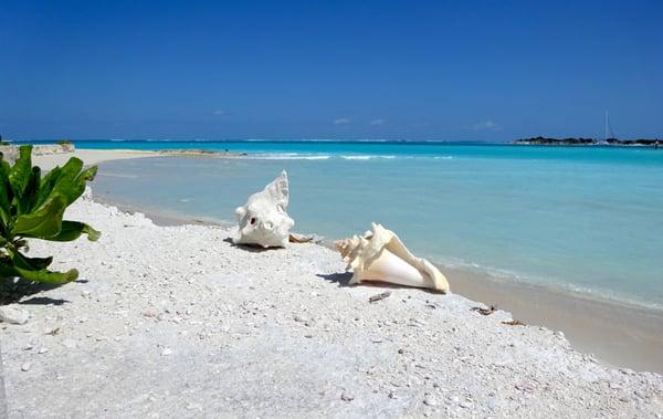 Ella's Vacation Rentals