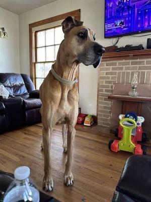 Coleman Veterinary Clinic