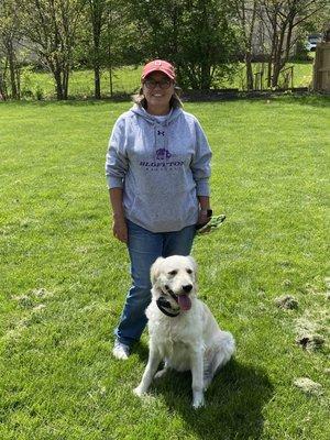 Boundary Limits Hidden Pet Fencing