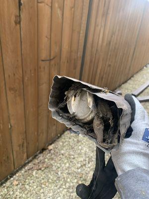 Rico’s Roofing & Siding