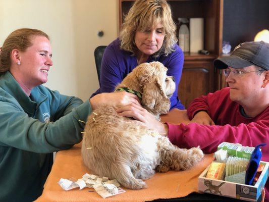 A patient enjoying his acupuncture!