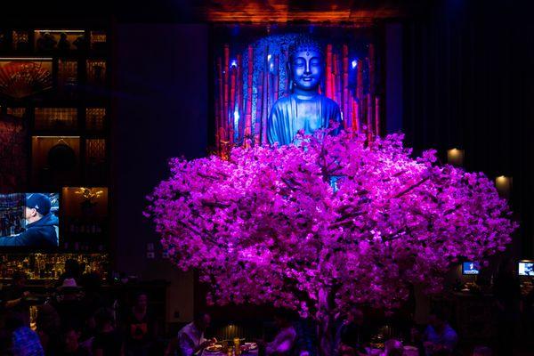 Blackbird Modern Asian