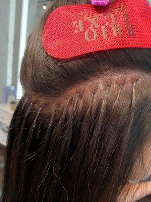 Hair Health Workshop