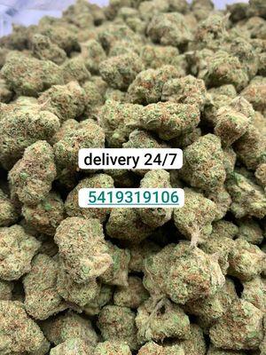 Green Cross Medical Marijuana Hollywood