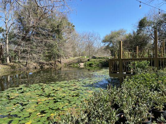 Gripon Gardens At Lynn’s